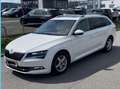Skoda Superb Superb Kombi 2,0 TDI Style DSG Style Weiß - thumbnail 2