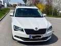Skoda Superb Superb Kombi 2,0 TDI Style DSG Style Weiß - thumbnail 5