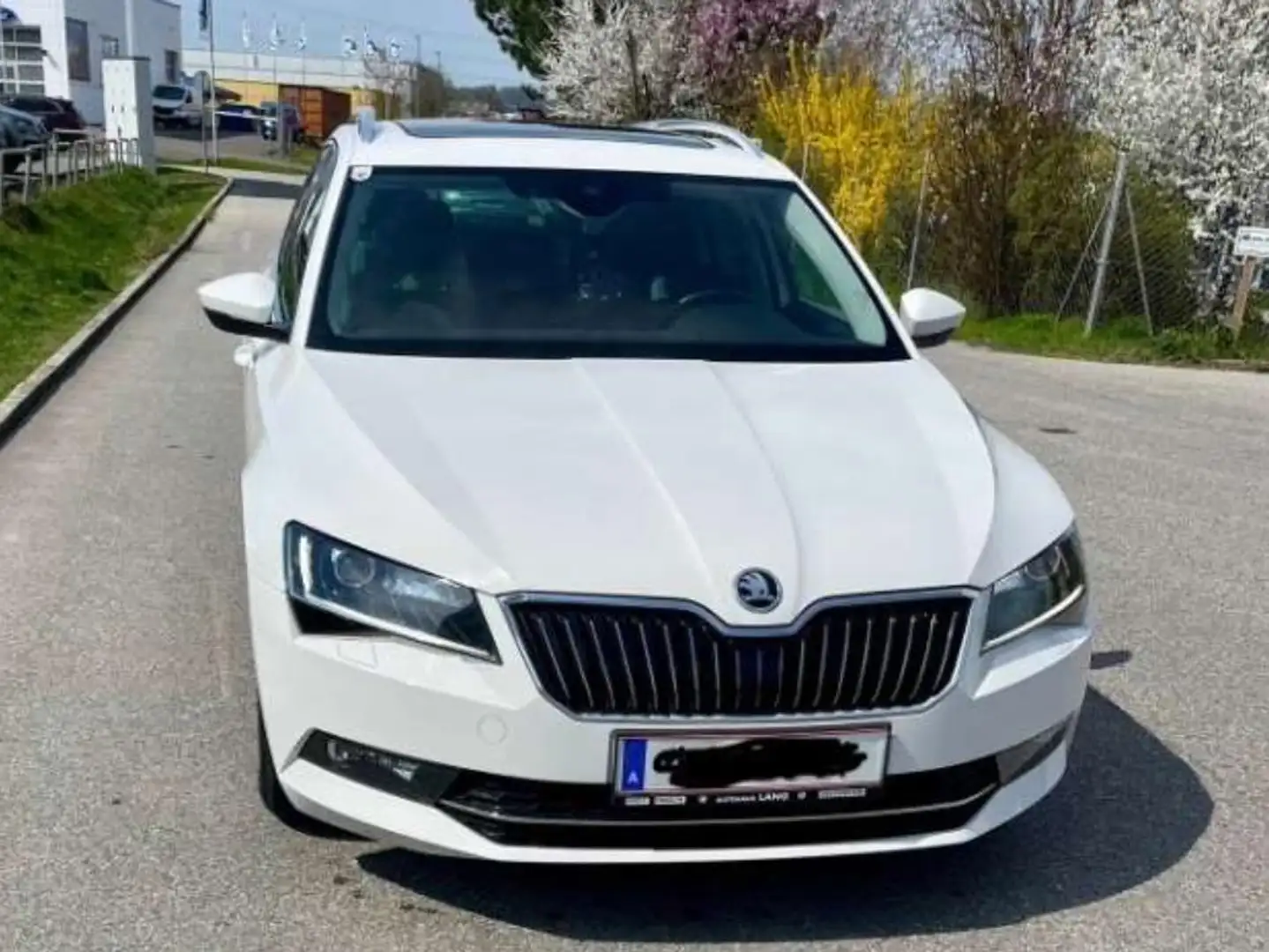Skoda Superb Superb Kombi 2,0 TDI Style DSG Style Weiß - 1