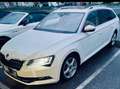 Skoda Superb Superb Kombi 2,0 TDI Style DSG Style Weiß - thumbnail 1