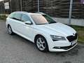 Skoda Superb Superb Kombi 2,0 TDI Style DSG Style Weiß - thumbnail 11
