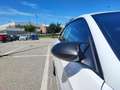 BMW 320 320d Coupe Futura 177cv Bianco - thumbnail 5