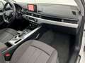 Audi A4 A4 Avant 35 2.0 tdi Business 150cv s-tronic Bianco - thumbnail 8