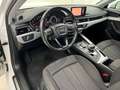 Audi A4 A4 Avant 35 2.0 tdi Business 150cv s-tronic Bianco - thumbnail 7