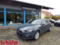 SEAT Leon 1.5 eTSI 85 kW Style 7-Gang-DSG Blau - thumbnail 1