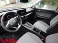 SEAT Leon 1.5 eTSI 85 kW Style 7-Gang-DSG Blau - thumbnail 4