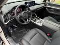 Mazda CX-60 e-SKYACTIV-D 254 HOMURA DA-P CON-P PRE-COM-P Weiß - thumbnail 8