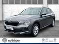 Skoda Kamiq Kamiq 1.0 TSI DSG Selection LED RFK Smart-Link BC Grau - thumbnail 1