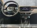 Skoda Kamiq Kamiq 1.0 TSI DSG Selection LED RFK Smart-Link BC Grau - thumbnail 10