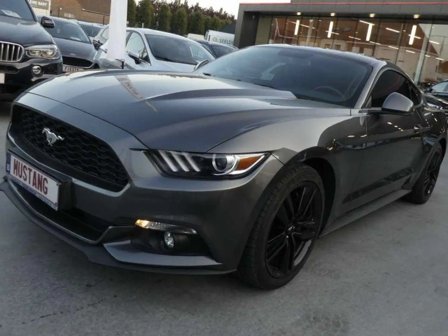 Ford Mustang Mustang 2.3 Eco Boost Gris - 1
