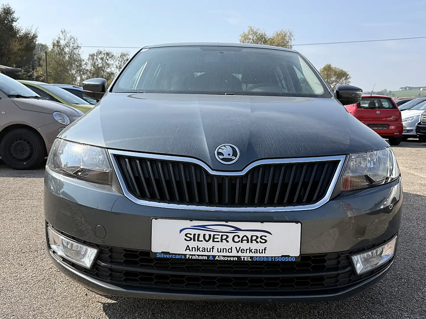 Skoda Rapid/Spaceback Rapid Spaceback 1,6 TDI Ambition Green tec Grau - 1