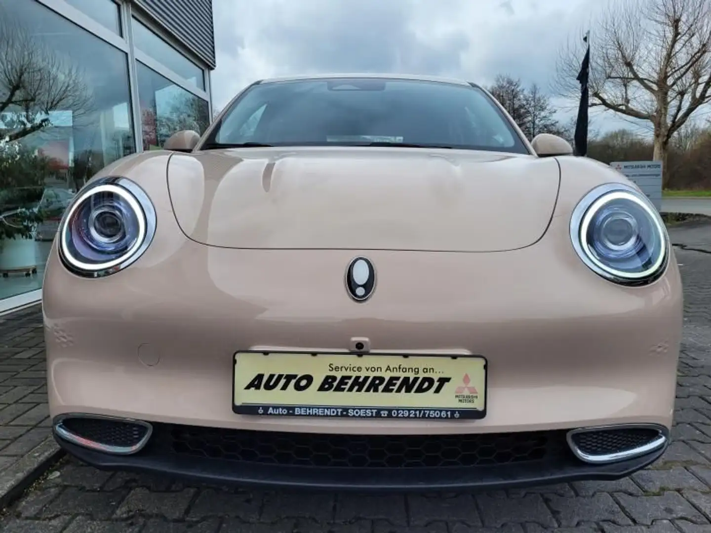 GWM ORA 03 ORA 03 03 300 Pro *6 Jahre Akku Garantie* AKTION Beige - 2