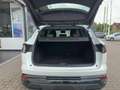 Renault Austral Techno Mild Hybrid 160 Automatik+KAM+SHZG+NAVI+ Білий - thumbnail 13
