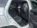 Renault Austral Techno Mild Hybrid 160 Automatik+KAM+SHZG+NAVI+ Bianco - thumbnail 12