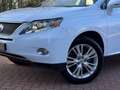Lexus RX 450h 4WD President HUD MarkLevinson (1e eigenaar) Weiß - thumbnail 5