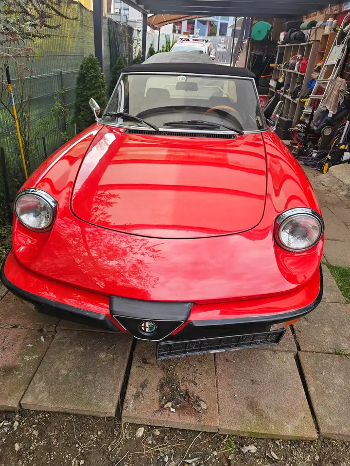 Alfa Romeo Spider 1.6, foto 2