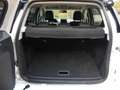 Ford EcoSport ST-Line1.0*NAVI*PDC*Scheckheft*Klimaaut Weiß - thumbnail 9