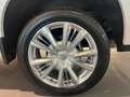 Chevrolet Silverado CHEVROLET SILVERADO 6.2 HIGTH COUNTRY - AUTOCARRO Bianco - thumbnail 10