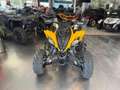 Yamaha Other Raptor 700 Giallo - thumbnail 1