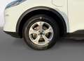Ford Kuga 2.5 PHEV Trend I Trekhaak I Carplay Wit - thumbnail 14