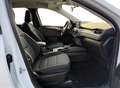 Ford Kuga 2.5 PHEV Trend I Trekhaak I Carplay Wit - thumbnail 18