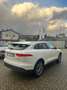 Jaguar F-Pace 2.0 D 180 CV AWD aut. Prestige Blanc - thumbnail 5