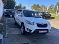Hyundai SANTA FE 2.2 CRDi Comfort (145kW) (2WD) Blanc - thumbnail 4