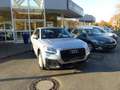 Audi Q2 35 TFSI basis Grau - thumbnail 1