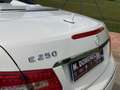 Mercedes-Benz E 250 Cabrio CDI BE Avantgarde Blanco - thumbnail 10