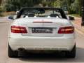 Mercedes-Benz E 250 Cabrio CDI BE Avantgarde Blanco - thumbnail 9