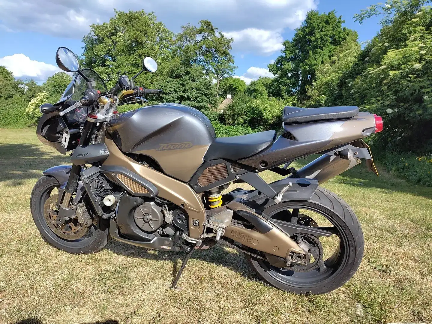 Aprilia Tuono Brons - 1
