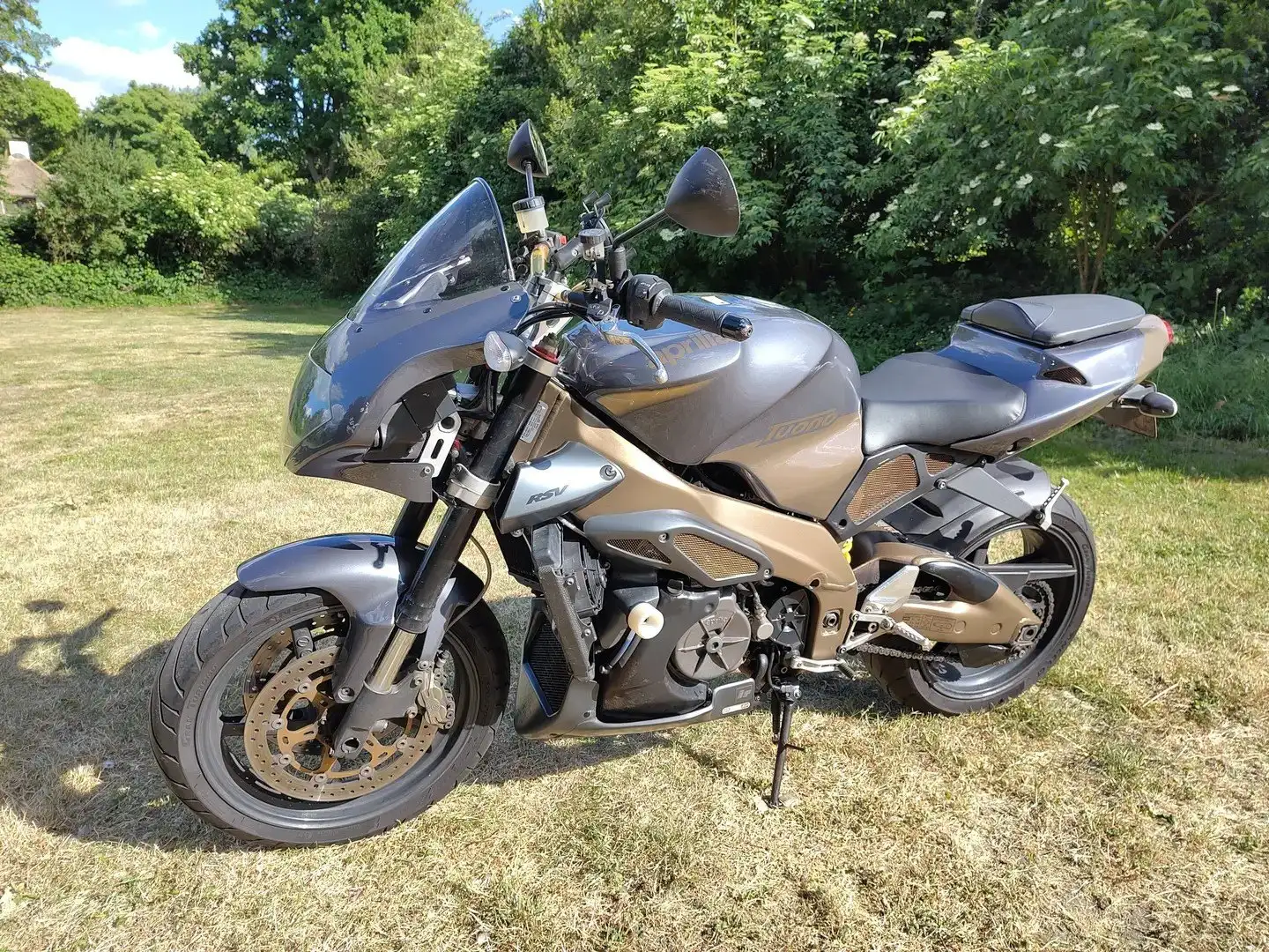 Aprilia Tuono Brons - 2