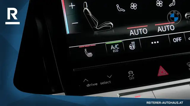 Audi e-tron view 22