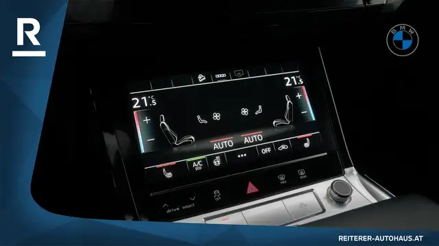 Audi e-tron view 21