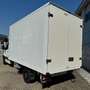 Mercedes-Benz Sprinter 319 T 43/35 EURO VI - 3.0 V6 190cv BOX IN LEGA Bianco - thumbnail 3