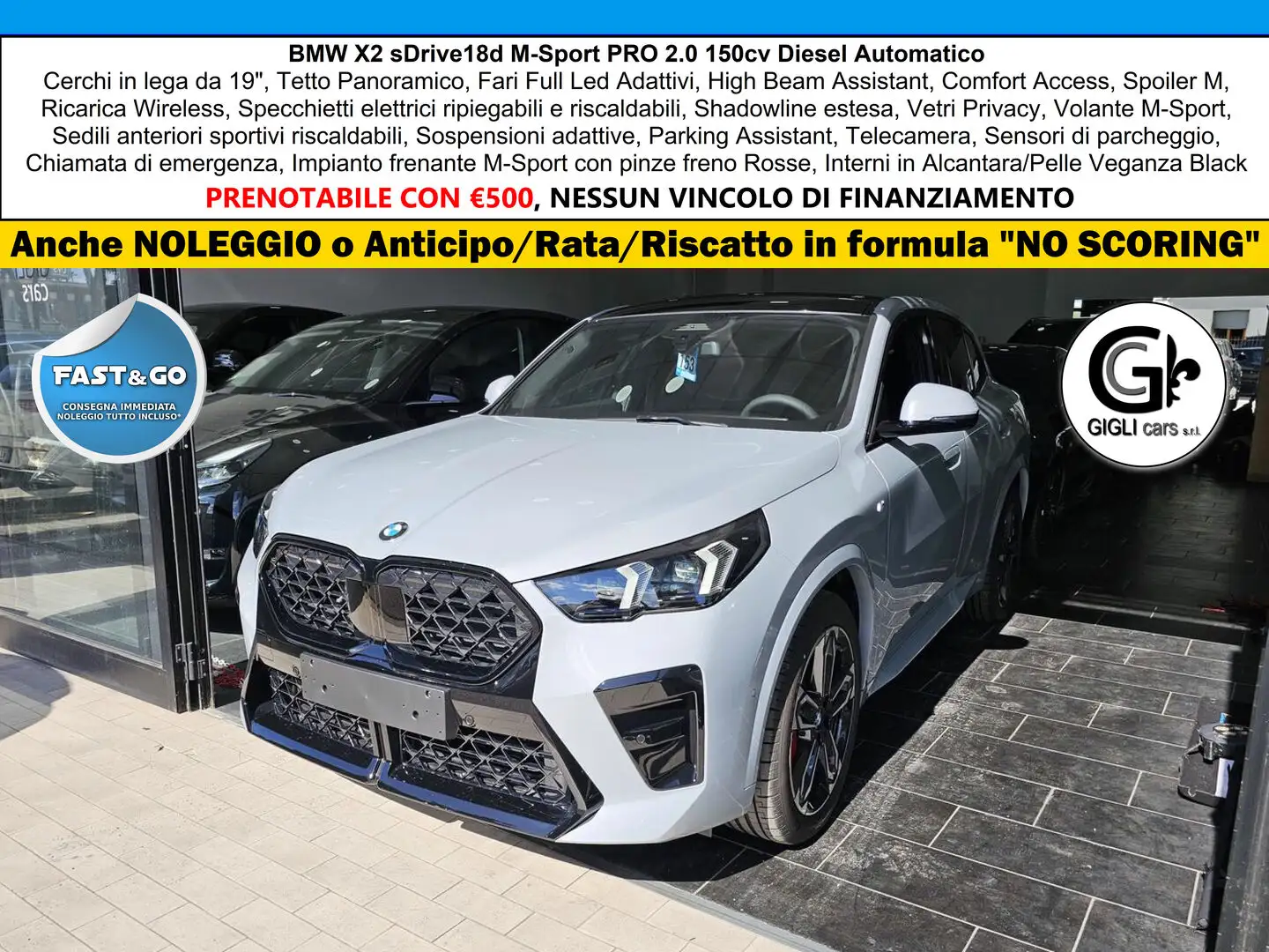 BMW X2 M-Sport PRO Camera Tetto Navi PDC NEW MODEL Gri - 1