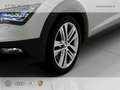 SEAT Leon st xp 2.0 tdi cr s&s 4drive 184cv dsg Silber - thumbnail 6