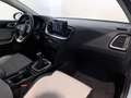 Kia XCeed 1.6 crdi Style 115cv Bianco - thumbnail 7