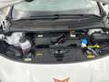 CUPRA Born Edition Dynamic Panorama Navi Blanco - thumbnail 16