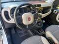 Fiat Panda 0.9 TwinAir Turbo 4x4 NEOPATENTATI Bianco - thumbnail 15
