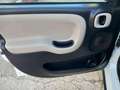 Fiat Panda 0.9 TwinAir Turbo 4x4 NEOPATENTATI Bianco - thumbnail 22