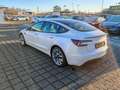 Tesla Model 3 Long Range AWD / AHK / 19" Weiß - thumbnail 13