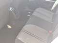 SEAT Leon 2.0TDI S&S Style Launch Pack con Navegador 115 Blanco - thumbnail 13