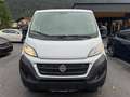 Fiat Kastenwagen Professional Weiß - thumbnail 2