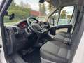 Fiat Kastenwagen Professional Weiß - thumbnail 9
