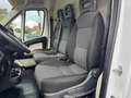 Fiat Kastenwagen Professional Weiß - thumbnail 10