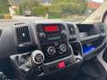 Fiat Kastenwagen Professional Weiß - thumbnail 12