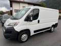 Fiat Kastenwagen Professional Weiß - thumbnail 8