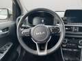 Kia Picanto PE 1.2 AMT Spirit Launch Beige - thumbnail 13