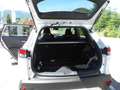 Toyota Corolla Cross 2,0 Hybrid Active Drive 2WD Weiß - thumbnail 6